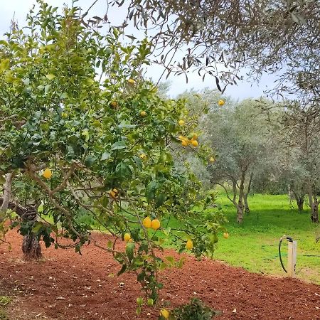 Casa Vacanze Da Nonna Mela Alghero Dış mekan fotoğraf