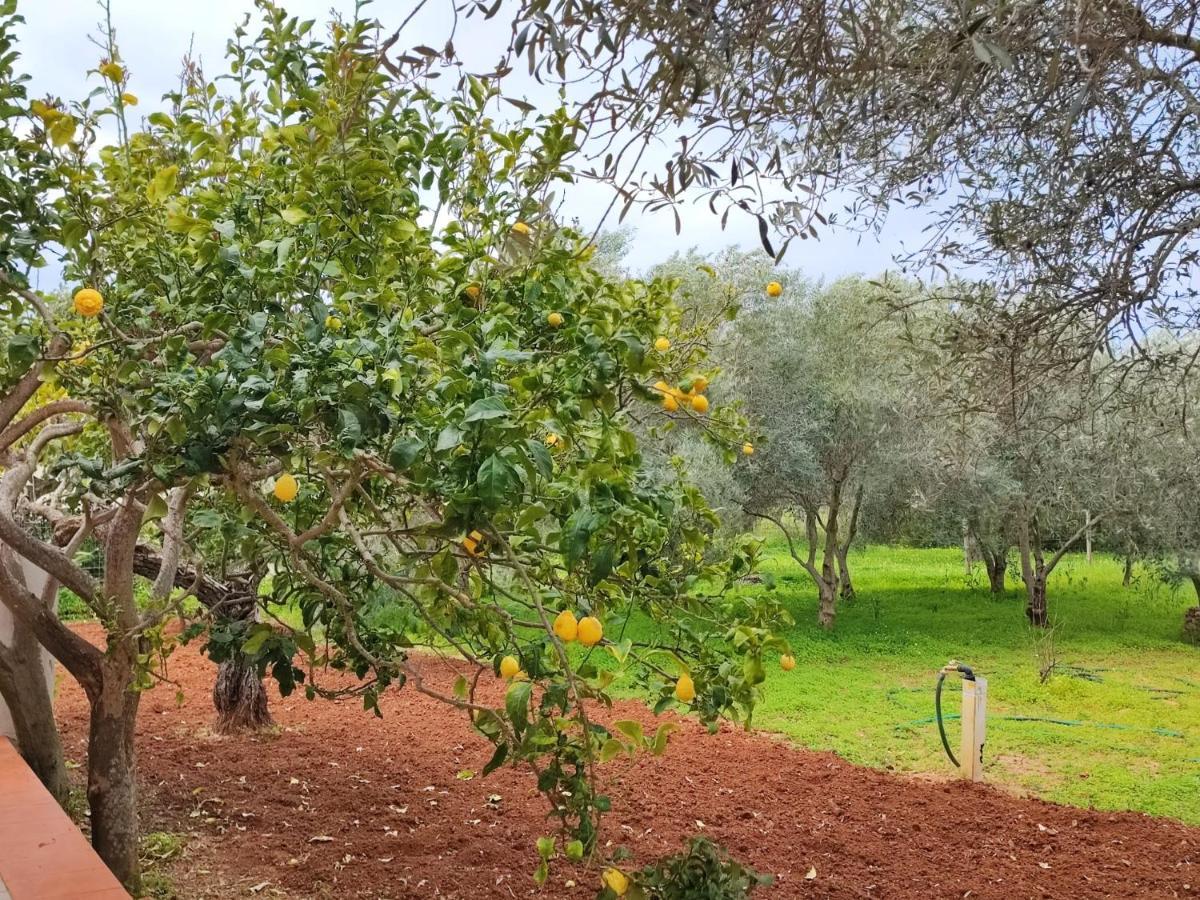 Casa Vacanze Da Nonna Mela Alghero Dış mekan fotoğraf
